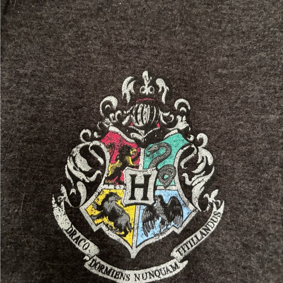 Harry Potter Kids Hoodie with Crest - Size Large - Picture 2 of 4